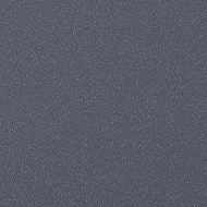 트랜스미션블루펄